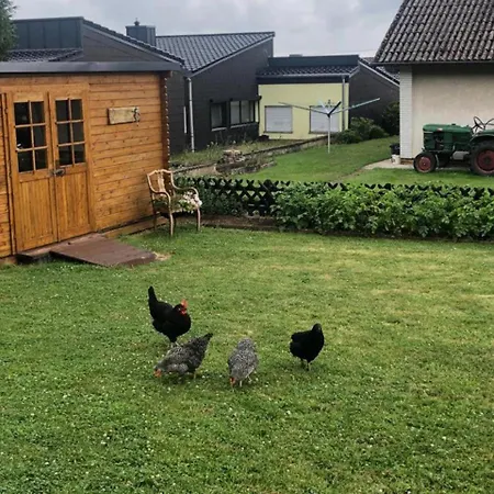 Yn E Homeie Baar (Rhineland-Palatinate)