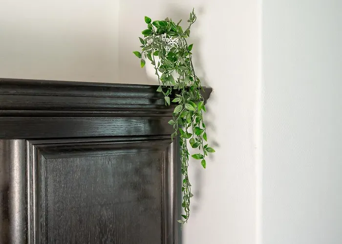 דירה Yn E Homeie Baar (Rhineland-Palatinate)